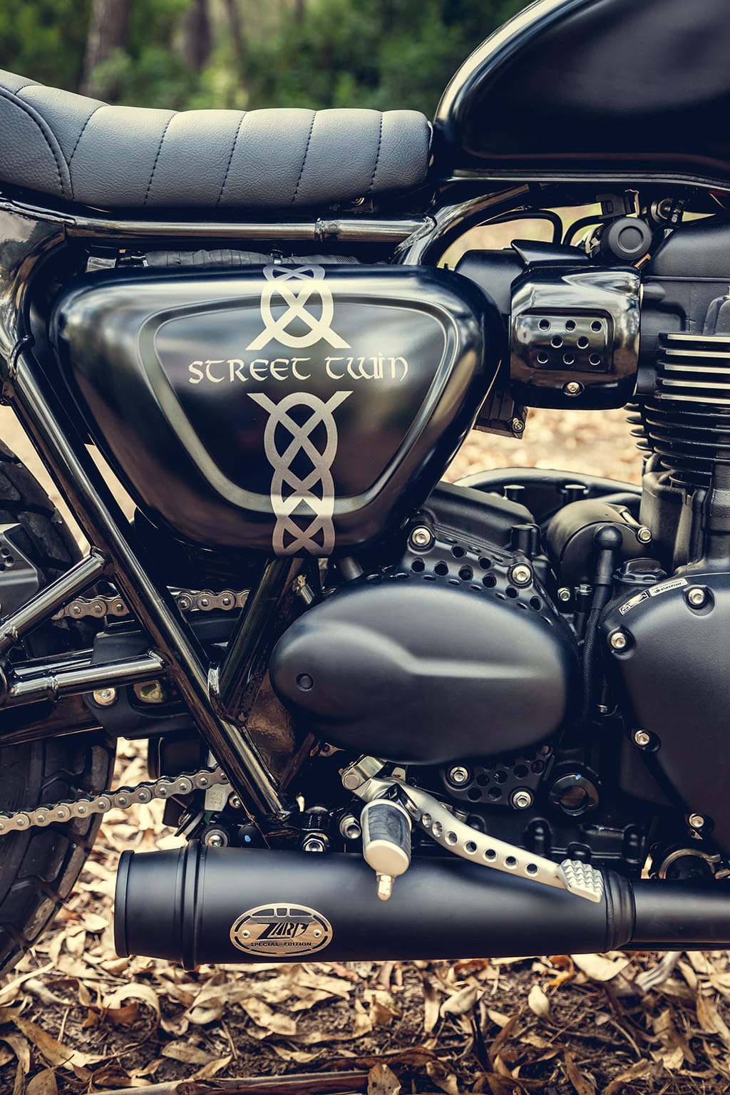 coolmotorcycles-the-viking09